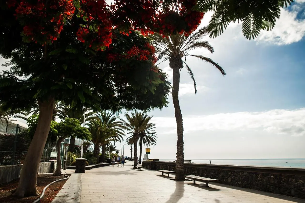 شقة Playa Del Ingles Easy Relax Accommodation ماسبالوماس